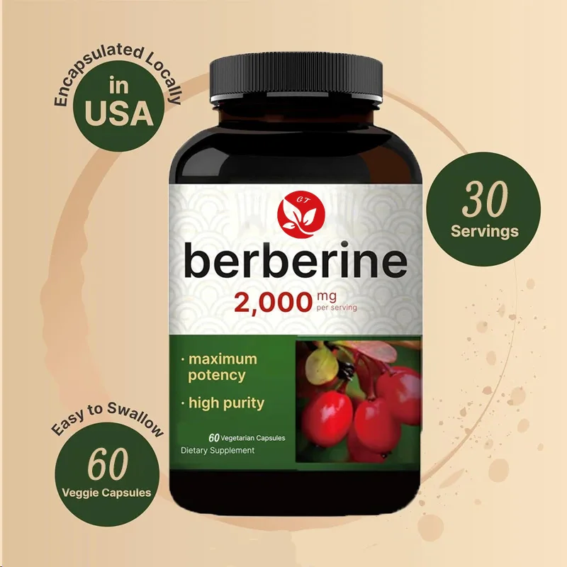 Berberine Hcl Capsule - 베르베린 보충제 60 식물성 캡슐, 97%